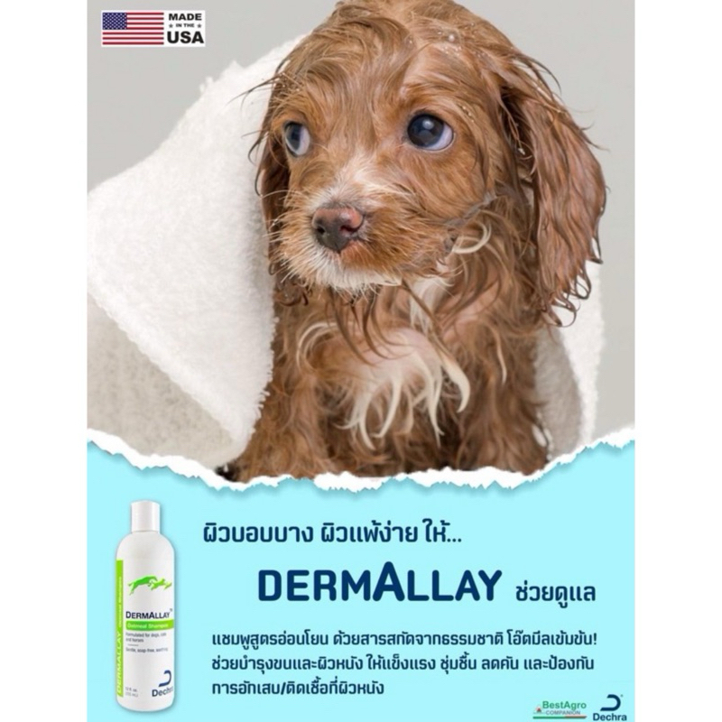DermAllay oatmeal  เพื่อความชุ่มชื้นในผิว และป้องกันสารก่อภูมแพ้เข้าสู่ผิวหนัง