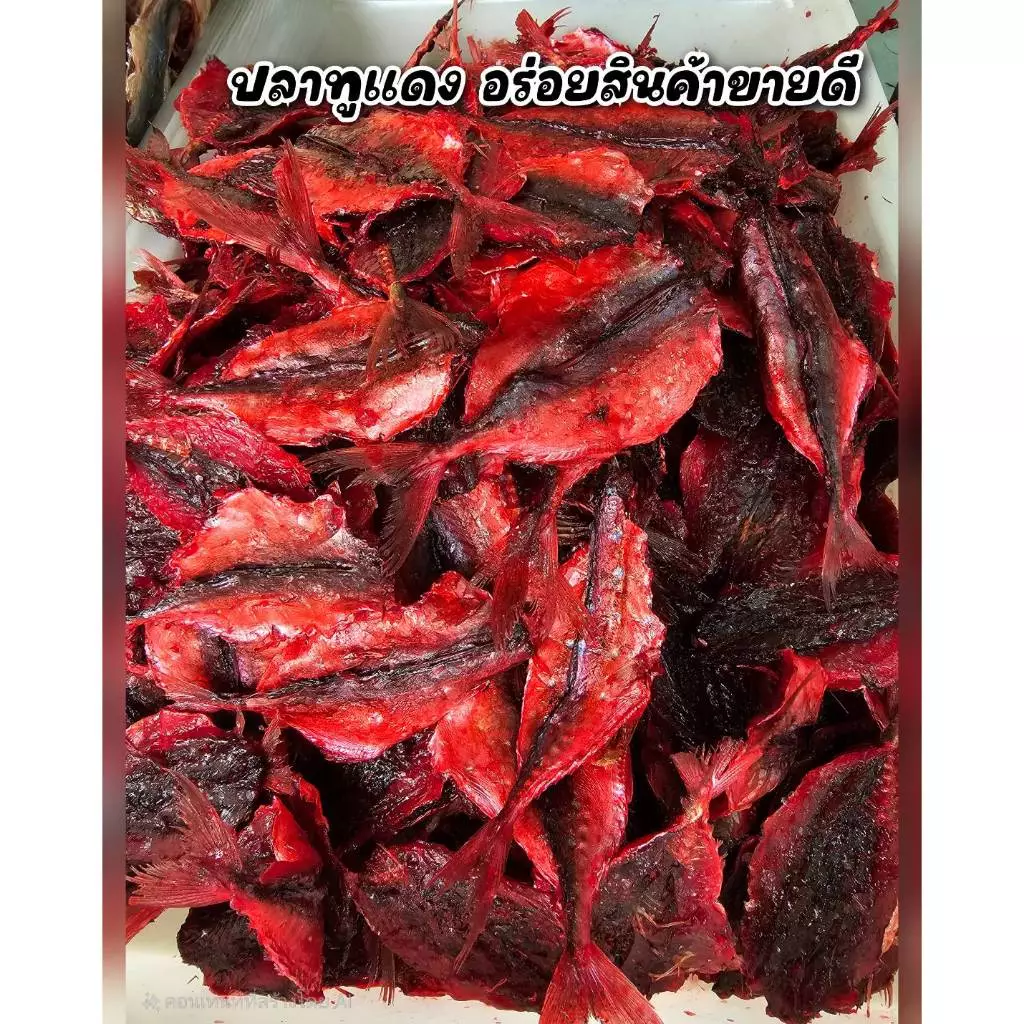 ปลาทูแดง น้ำหนัก 500 กรัมหรือครึ่งกิโลกรัม แพ็คถุงซีลสูญอากาศอย่างดี ทำจากปลาทู สดใหม่ ปลาตากใหม่ทุกวัน สินค้าขายดี