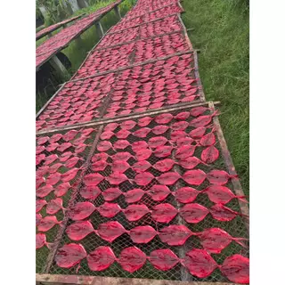 ปลาทูแดง น้ำหนัก 500 กรัมหรือครึ่งกิโลกรัม แพ็คถุงซีลสูญอากาศอย่างดี ทำจากปลาทู สดใหม่ ปลาตากใหม่ทุกวัน สินค้าขายดี