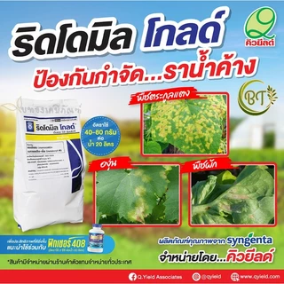 ขนาด 500 กรัม ริดโดมิลโกลด์ เอ็มแซด 68 ดับบลิวจี คิวยีลด์ สารป้องกันกำจัดโรคพืช