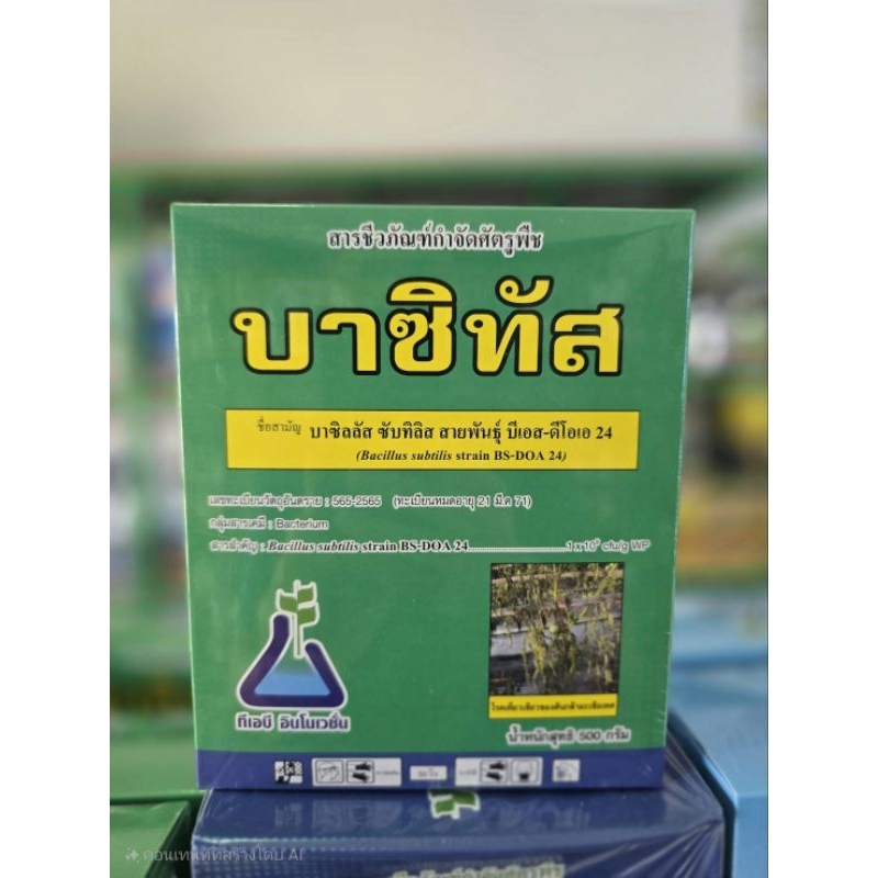 สารชีวภัณฑ์กำจัดโรคพืช บาซิทัส 500 g ใช้ในการป้องกันโรคเหี่ยวเขียว ที่เกิดจากเชื้อแบคทีเรีย ใช้ได้กับพืชทุกชนิด