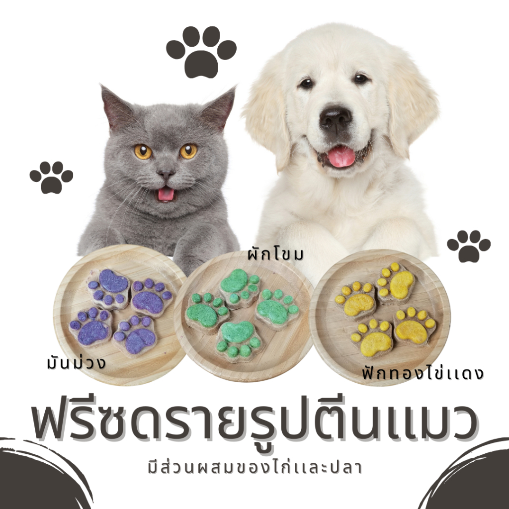 คุกกี้แมว ฟรีซดรายอุ้งเท้าเเมว ขนมแมว แจ้งรสชาติในหมายเหตุ ราคา ถูกที่สุด ดีลบีเคเค แกลเลอรีภาพที่ 3