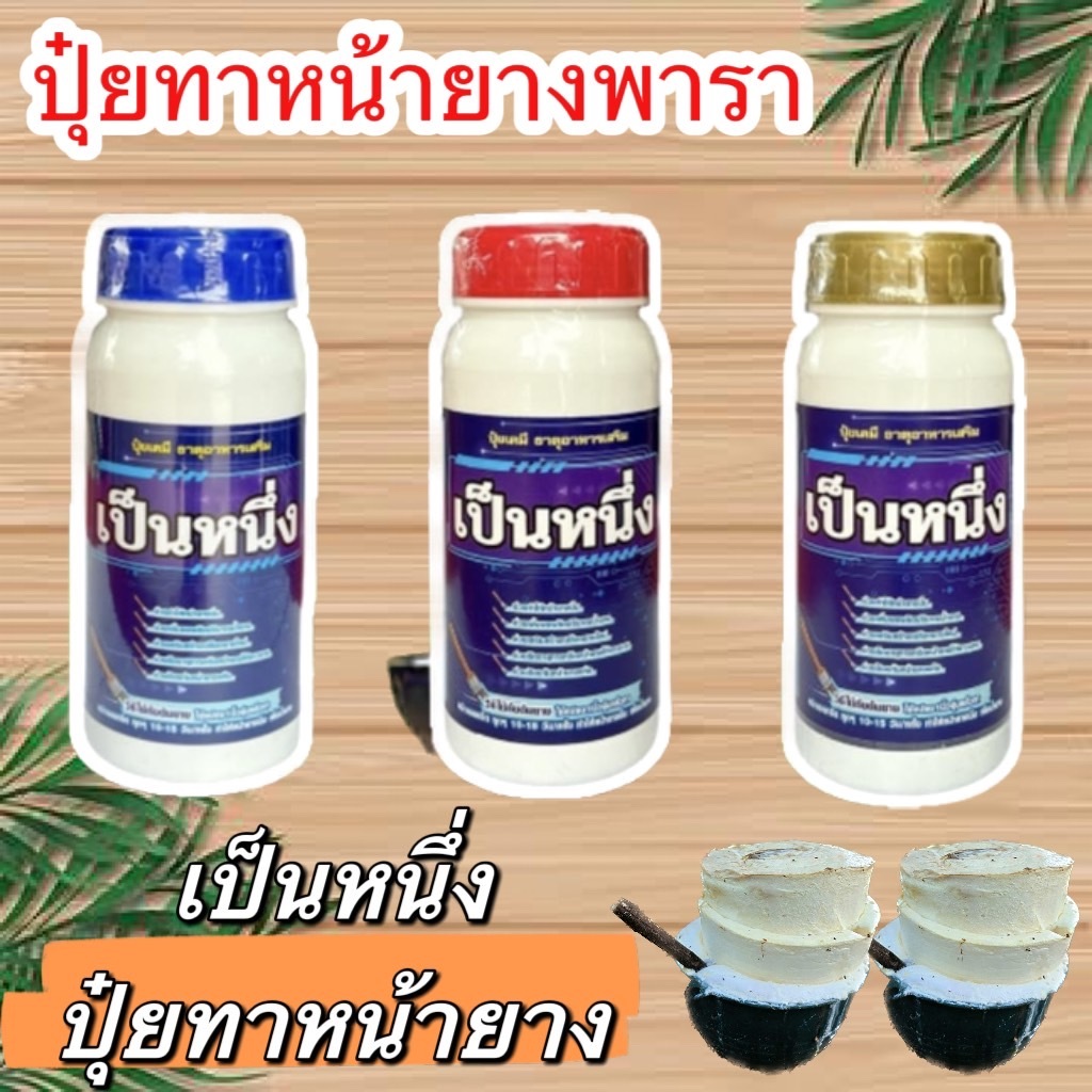 ปุ๋ยทาหน้ายาง เป็นหนึ่ง สูตร มี 3 ตัวเลือก ขนาด 500cc แถมแปรงทุกออเดอร์ ของแท้ รับประกันคุณภาพ