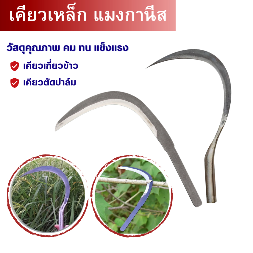 พร้อมส่ง! เคียวเกี่ยวข้าว/เคียวตัดปาล์ม ด้ามเหล็ก11นิ้ว เคียวเหล็กแมงกานีส เคียวเกี่ยวข้าว หญ้า เหล็กแหนบ แบบกลม/แบบแบน