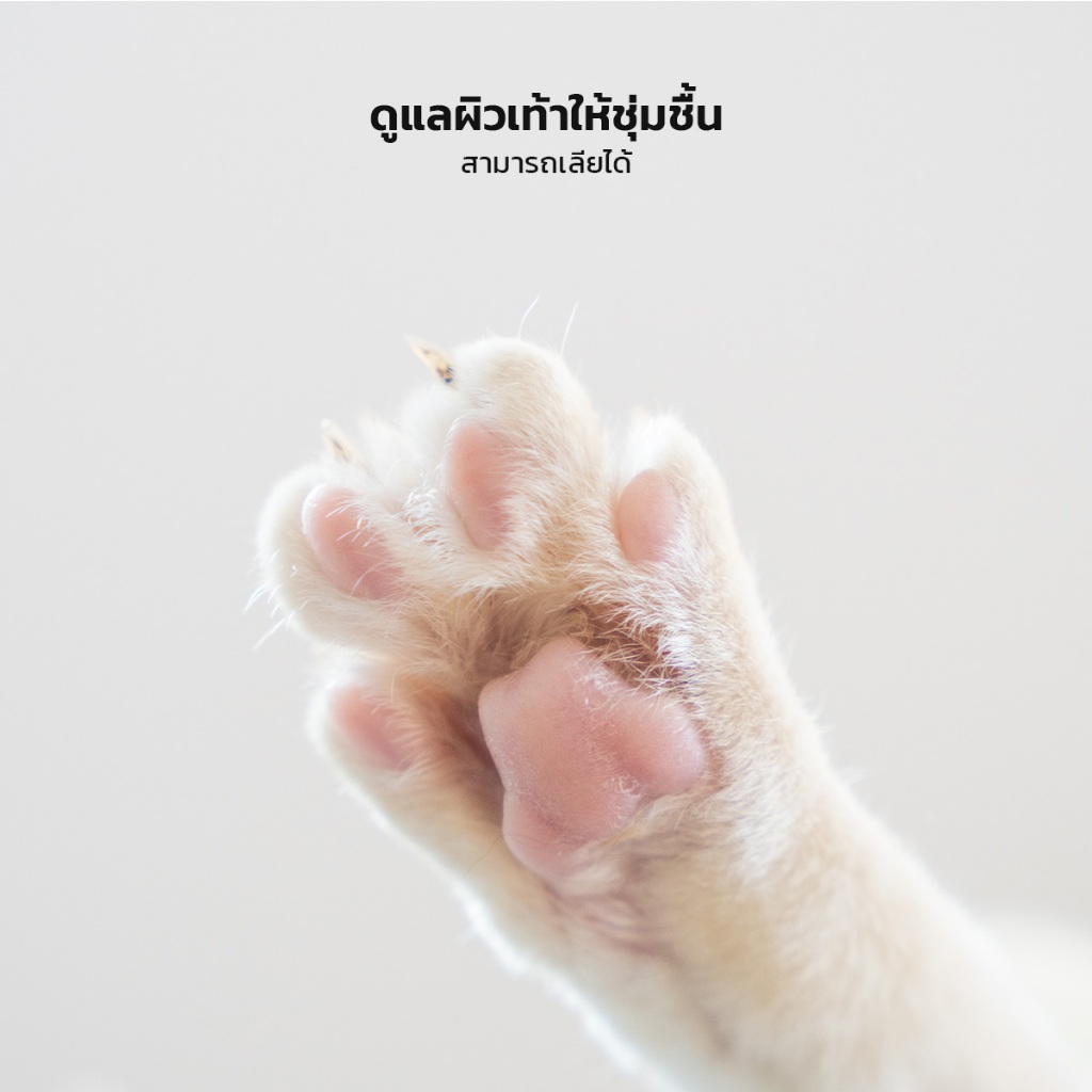 KUMOO PET ครีมบำรุงเท้า สำหรับสัตว์เลี้ยง สุนัข แมว ช่วยให้เท้าชุ่มชื้น - รูปที่ 3