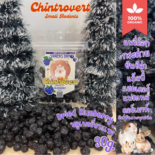Chintrovert ✨| Dried Blueberry บลูเบอรี่อบแห้ง 30g. | กระต่า…