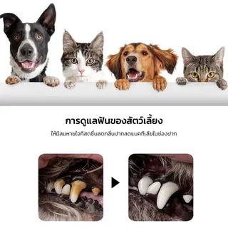 KUMOO PET น้ำยาบ้วนปาก สำหรับสัตว์เลี้ยง ลดคราบหินปูน ช่วยลดกลิ่นปาก