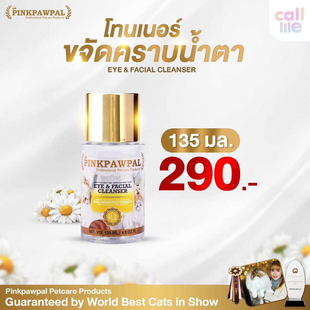 รูปภาพ 4