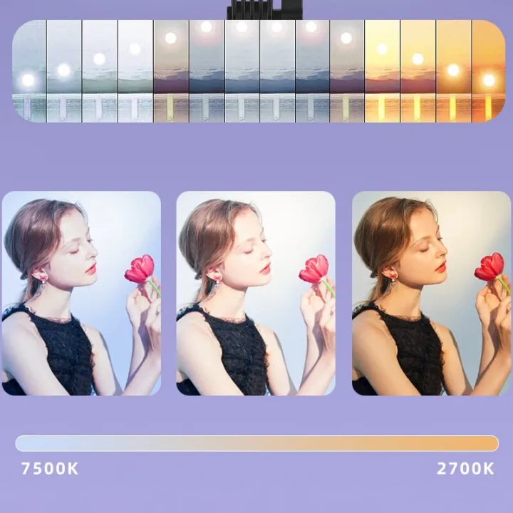 🔥เลือกฉัน!มืออาชีพมาก🔥ไฟสตูดิโอ ไฟต่อเนื่อง ปรับได้ 3 สี 2.1m ไฟถ่ายรูป ไฟไลฟ์สด ถ่ายวิดีโอ ไฟถ่ายภาพพร้อมขาตั้ง