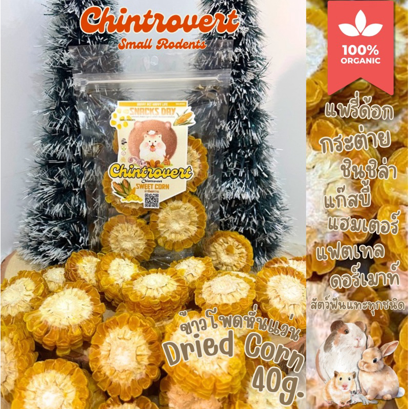 Chintrovert ✨| Dried sweet corn ข้าวโพดหวานอบแห้งหั่นแว่น 40g. | กระต่าย ชินชิล่า เควี่ แฮมเตอร์ ชูการ์ แฟตเทล ดอร์เมาท์