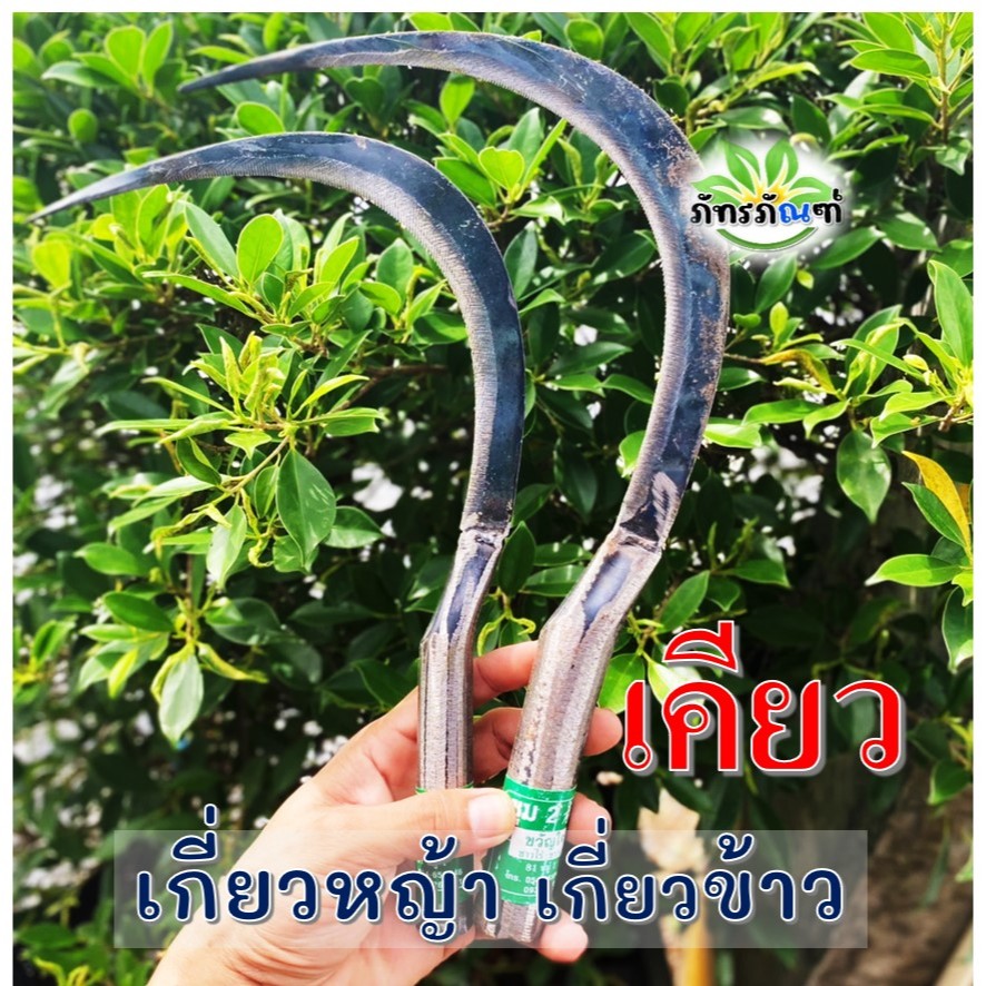 เคียวเกี่ยวหญ้า เคียว อย่างดี เคียวเกี่ยวหญ้า เกี่ยวข้าว จัดส่งไว สินค้าคุณภาพ