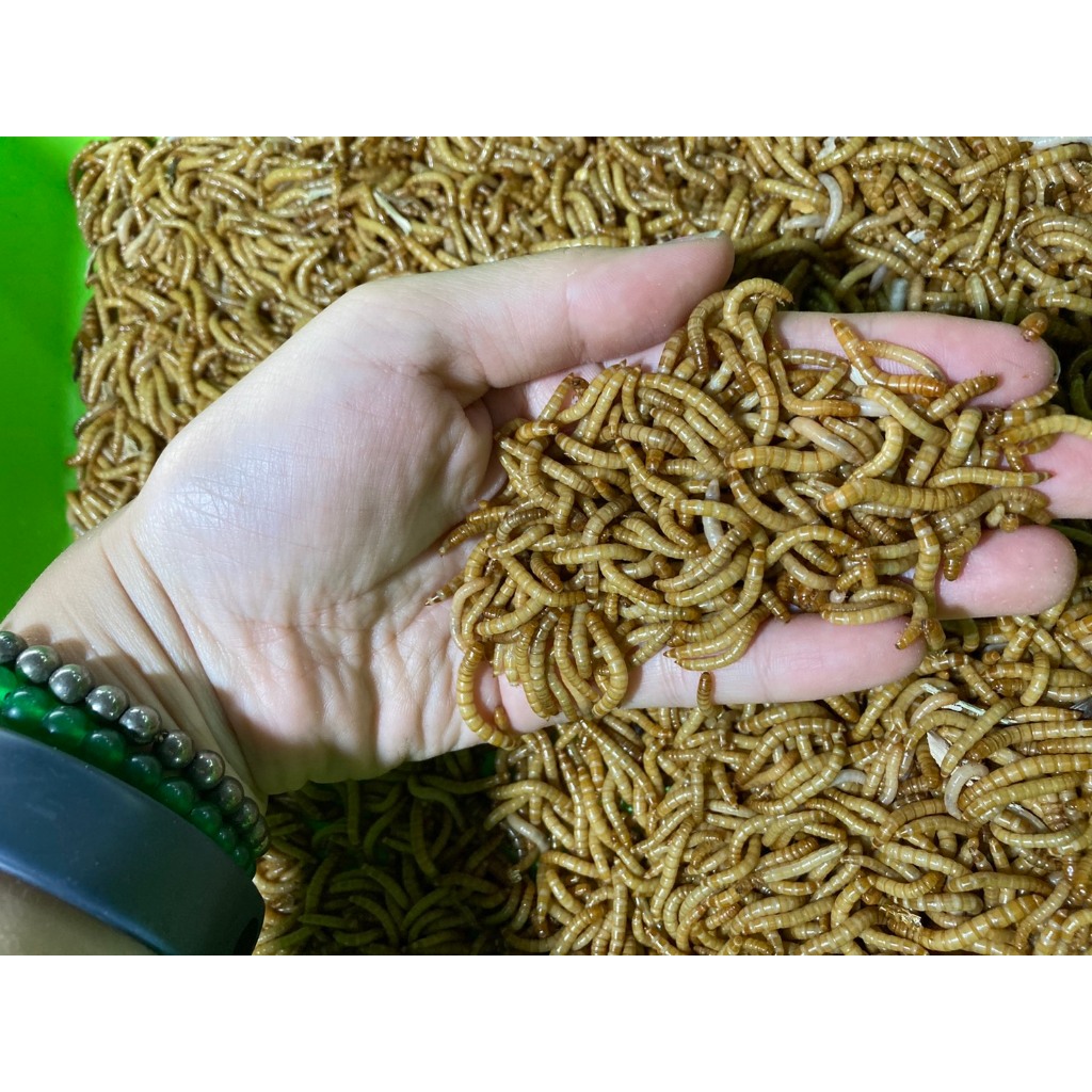 อาหารนกและสัตว์แบบไม่อบแห้ง น้ำหนัก 100 กรัม