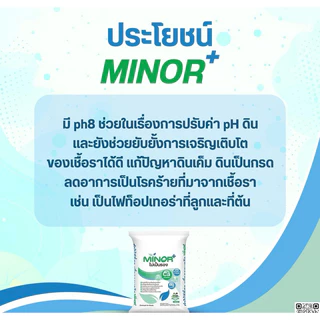 ไมเนอร์+ ไม่เป็นรอง ธาตุอาหารรอง ปรับค่า ph สามารถป้องกันโรคได้ (ใช้โค้ดส่งฟรี300บาท)