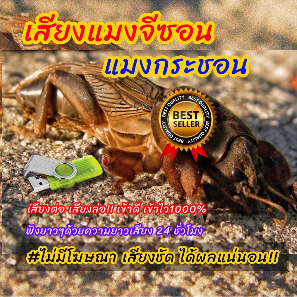 เสียงล่อแมงกระชอน24ชั่วโมง แมงจิซอน แมงกิซอน ใช้งานได้ผลดีมากการันตี เสียงชัดเสียงใสไร้โฆษณา