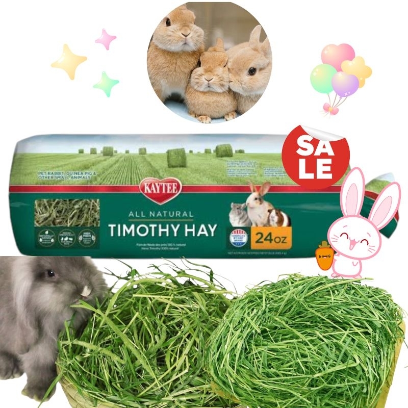 Flash sale พร้อมส่ง Kaytee Timothy Hay หญ้าทิโมธี ขนาด 24 ออนซ์ ส่งทุกวัน