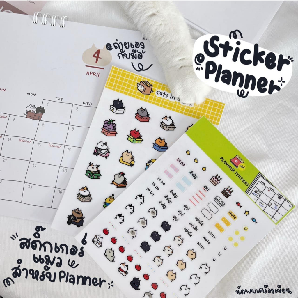 Schedule Sticker สติ๊กเกอร์ใสไดคัทน้องแมว STICKER CATS