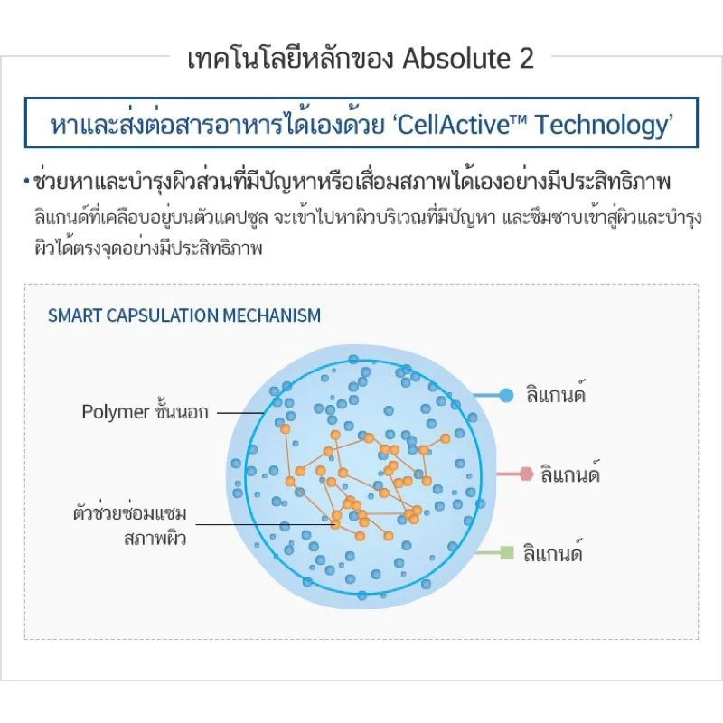 Atomy Absolute Skincare  - อะโทมี่ แอบโซลูท เซลแอคทีฟ สกินแคร์ thumbnail 6