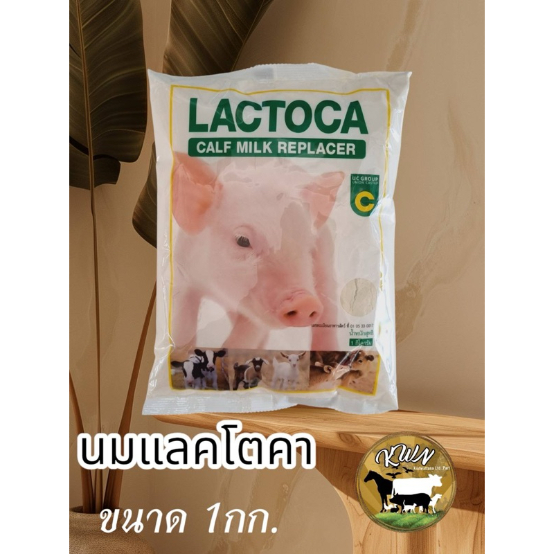 แลคโตคา อาหารแทนนมสำหรับสัตว์ ซอง 1กก.