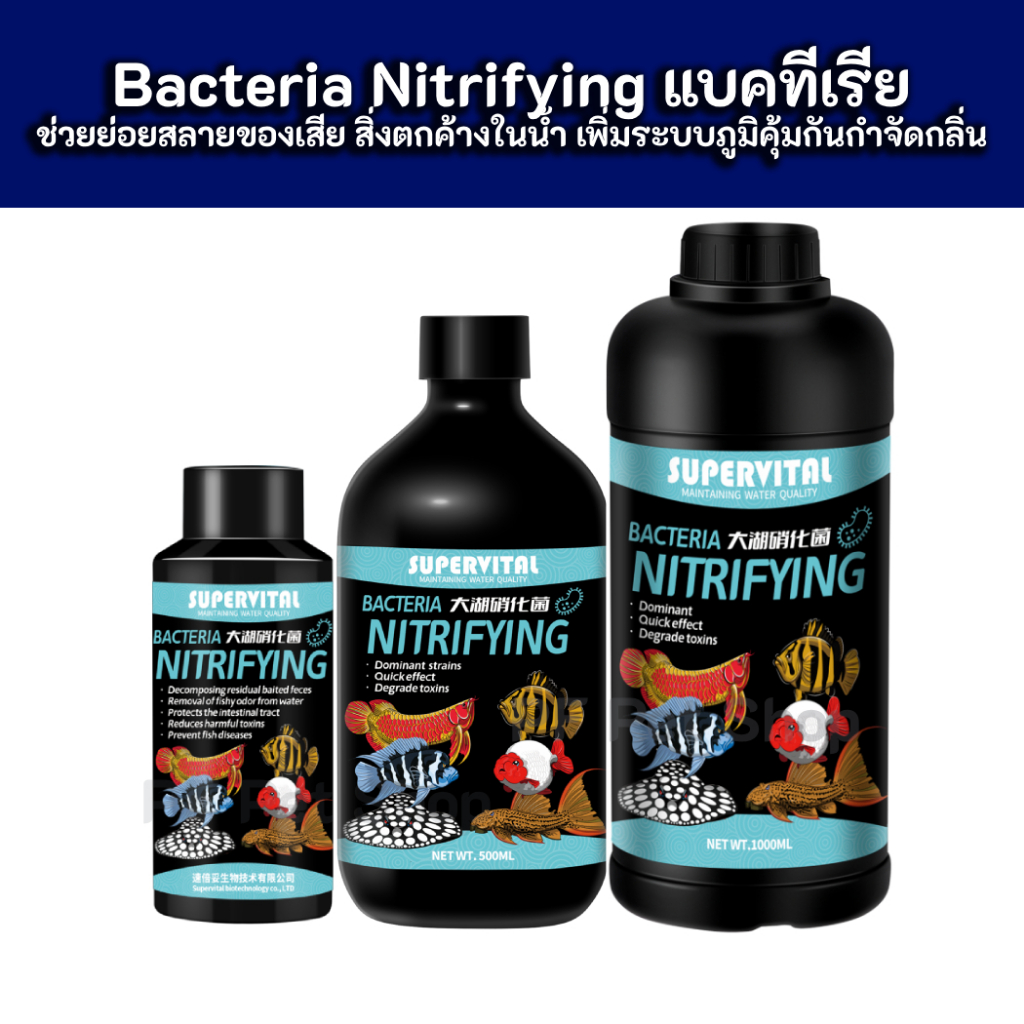 Supervital - Bacteria Nitrifyi - แบคทีเรียน้ำ ช่วยย่อยสลายของเสียตกค้างในน้ำ เพิ่มระบบภูมิคุ้มกัน กำจัดกลิ่น (ขวดฟ้า)