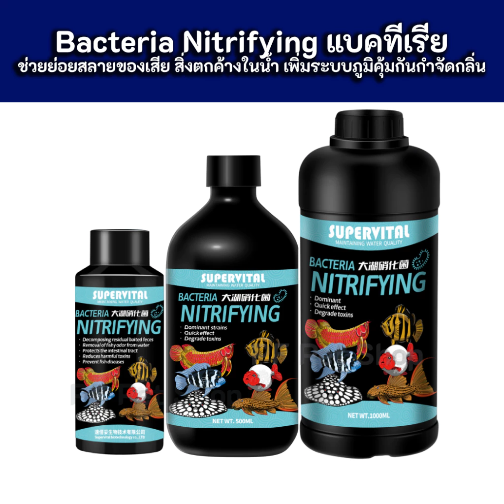 Supervital - Bacteria Nitrifyi - แบคทีเรียน้ำ ช่วยย่อยสลายของเสียตกค้างในน้ำ เพิ่มระบบภูมิคุ้มกัน กำจัดกลิ่น (ขวดฟ้า)