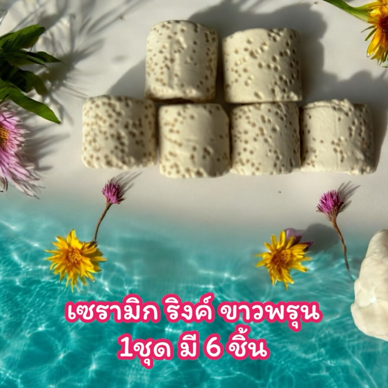 ส่งไว Ceramic ring วัสดุกรองตู้ปลา (ชุด6ชิ้น เซรามิคริงค์) ใส่ถุงซิปใส สำหรับกรองน้ำบ่อปลา มีรูพรุน/ผิวเรียบ