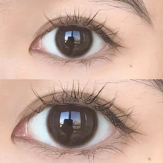 [0~-8.00] MILL CREEK คอนแทคเลนส์สี เลนส์บิ๊กอายน่ารัก สีน้ำตาล Glossy 14.5mm 12 เดือน คอนแทคเลนส์