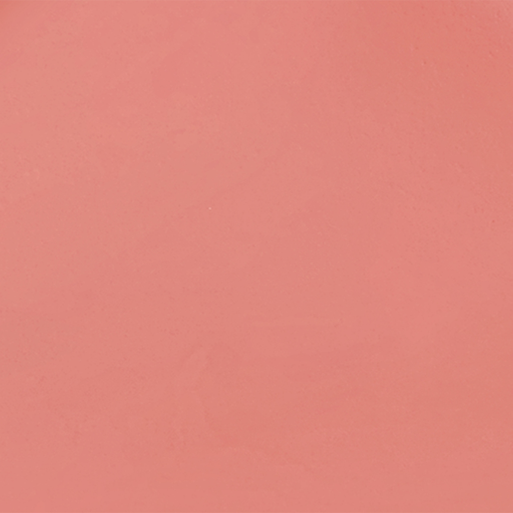 CLIO PROFESIONAL Essential Lipcheek Tap (4.5 g.) คลีโอ เอสเซนเชี่ยล ลิปชีค แท็ป - รูปที่ 3