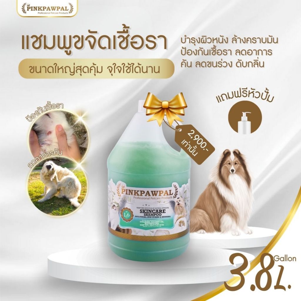 L6:แชมพูล้างคราบมัน เชื้อรา ลดคัน ขนนุ่ม ไม่มัน (Skincare Shampoo for Pets)