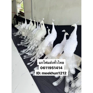 นกยูง #นกยูงโฟม #Peacock