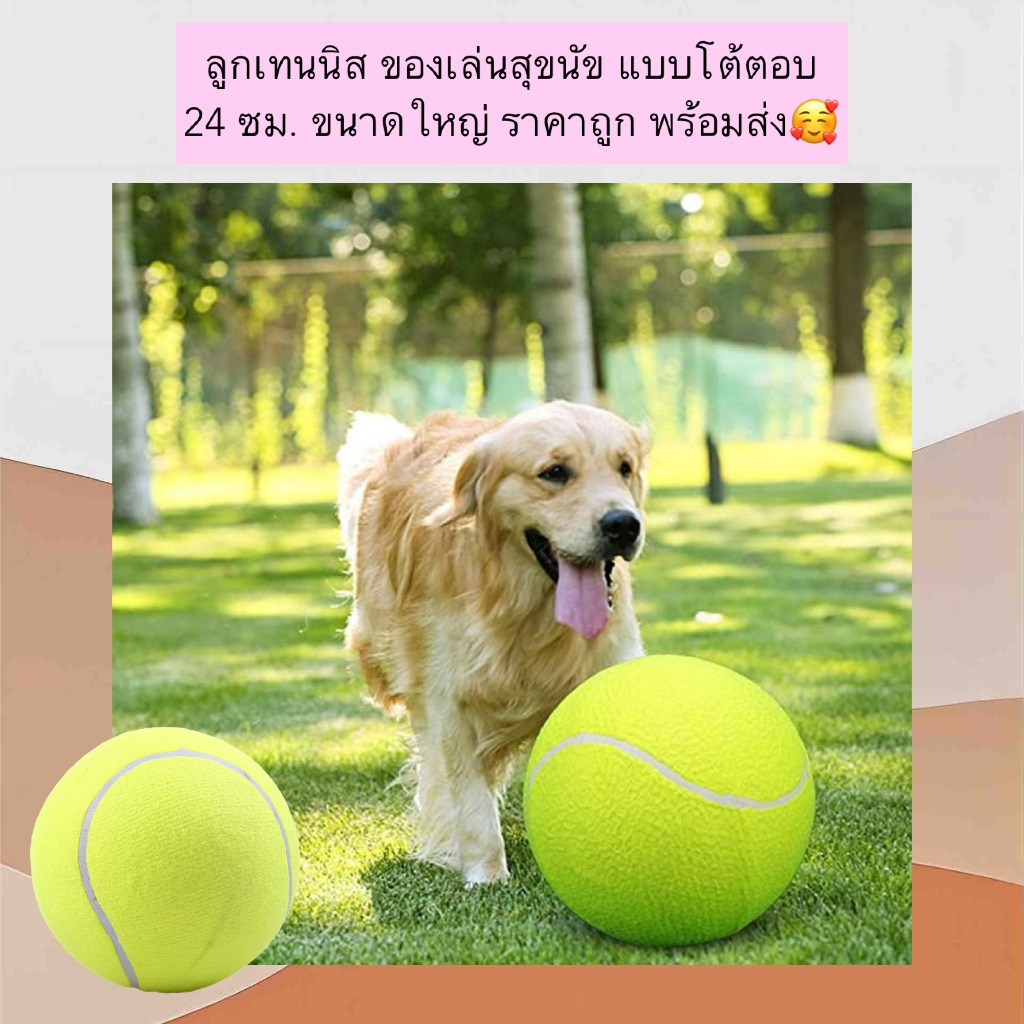 PP-1231 ลูกเทนนิสของเล่นสุนัข ขนาดใหญ่ 24 ซม. แบบโต้ตอบ ราคาถูก พร้อมส่งทันที