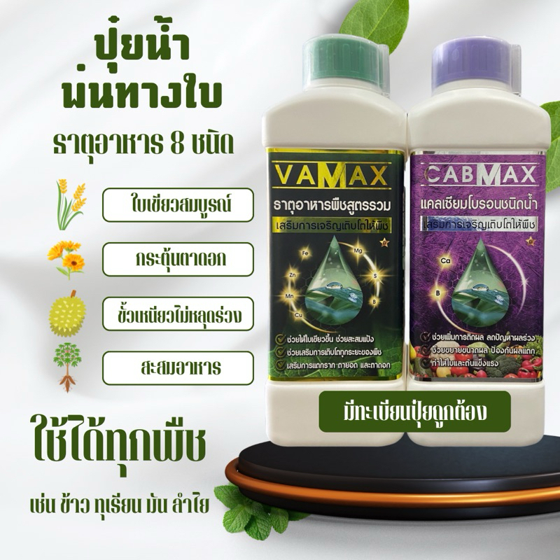 ปุ๋ยน้ำ (1 แถม 1) VAMAX ธาตุอาหารพืชรวม + CABMAX แคลเซียมโบรอน ใบเขียวโตเร็วดอกผลแข็งแรง