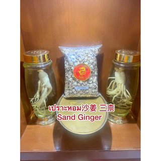 เปราะหอม เปาะหอม沙姜 三柰 Sand Ginger ซำหลี ว่านเปราะหอม หัวเปราะหอม หัวเปราะ