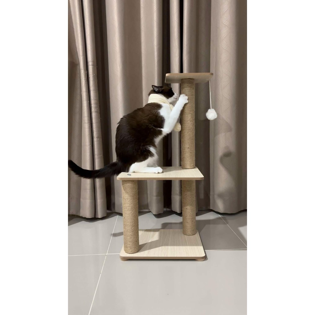 ( CAT-Mini-001 ) คอนโดสูง 70 cm มีเสาฝนเล็บ ที่นอนเเมว คุณนาย