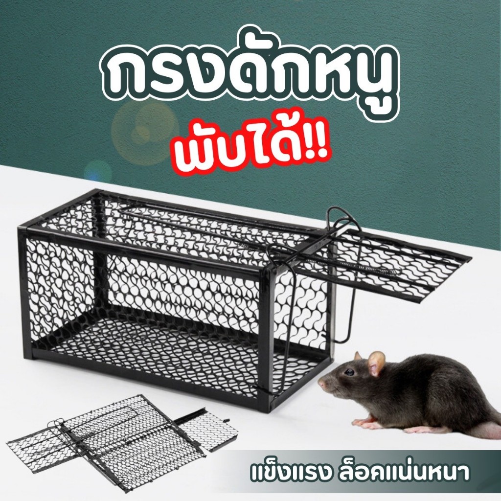 🐭กรงดักหนู แบบพับได้สปริงเดี่ยว ยืดได้ยาว บานพับใหญ่ กรงดักหนูเล็ก วัสดุหนา แข็งแรง ทนทาน พร้อมส่ง