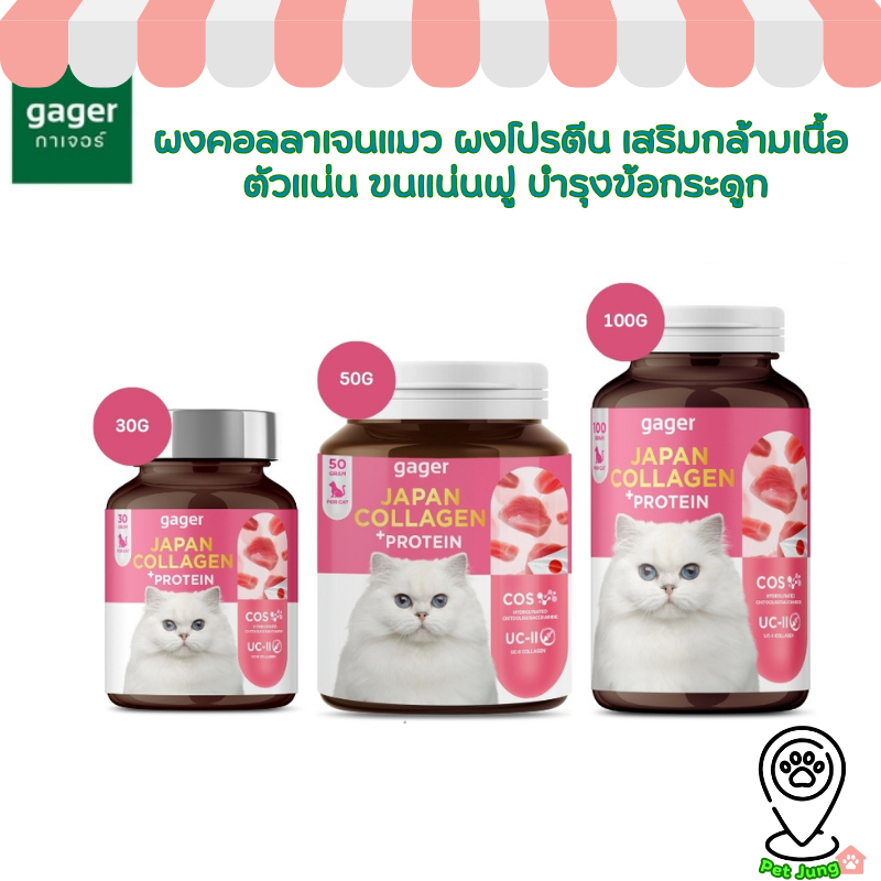 Gager Collagen กาเจอร์ ผงคอลลาเจนแมว ผงโปรตีน เสริมกล้ามเนื้อ ตัวแน่น ขนแน่นฟู บำรุงข้อกระดูก