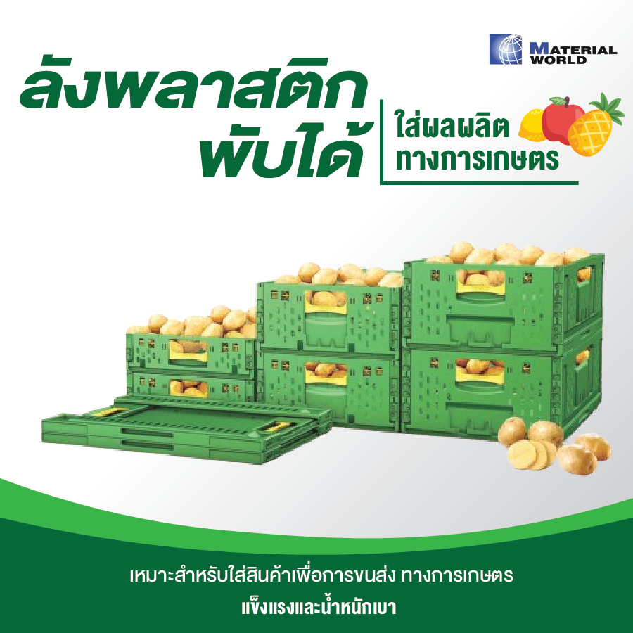 ลังพลาสติกพับได้ สำหรับผลผลิตทางการเกษตร