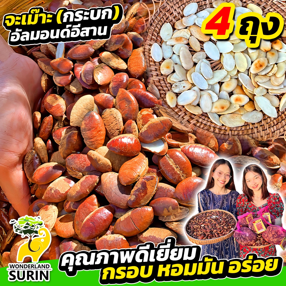 โปร 4 ถุง “จะเม๊าะ” อัลมอนด์อีสานเกรดพรีเมียม รับประกันคุณภาพ จากวันเดอร์แลนด์สุรินทร์