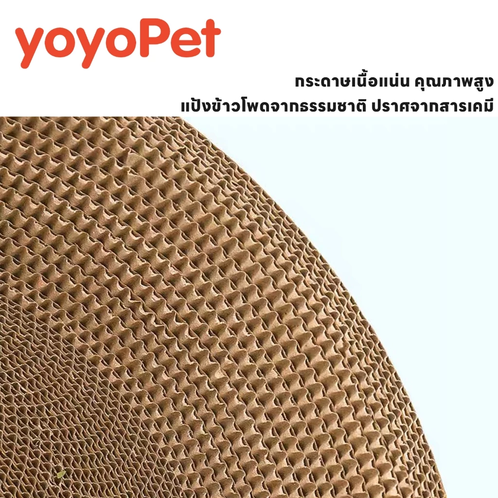 yoyopet ที่ลับเล็บแมว+แคทนิป รูปอ่าง 2in1 นอน-ลับเล็บ thumbnail 3