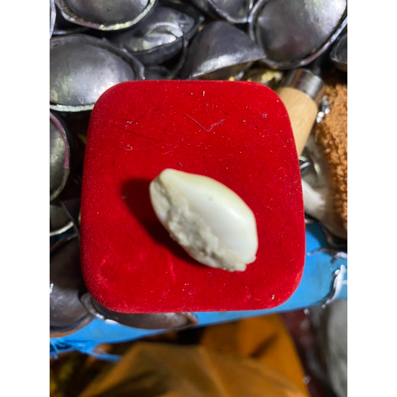 เบี้ยจั่น อุดชันณรงค์หรือขี้สูด ผสมอีพ็อกซี่ บรรจุปรอท