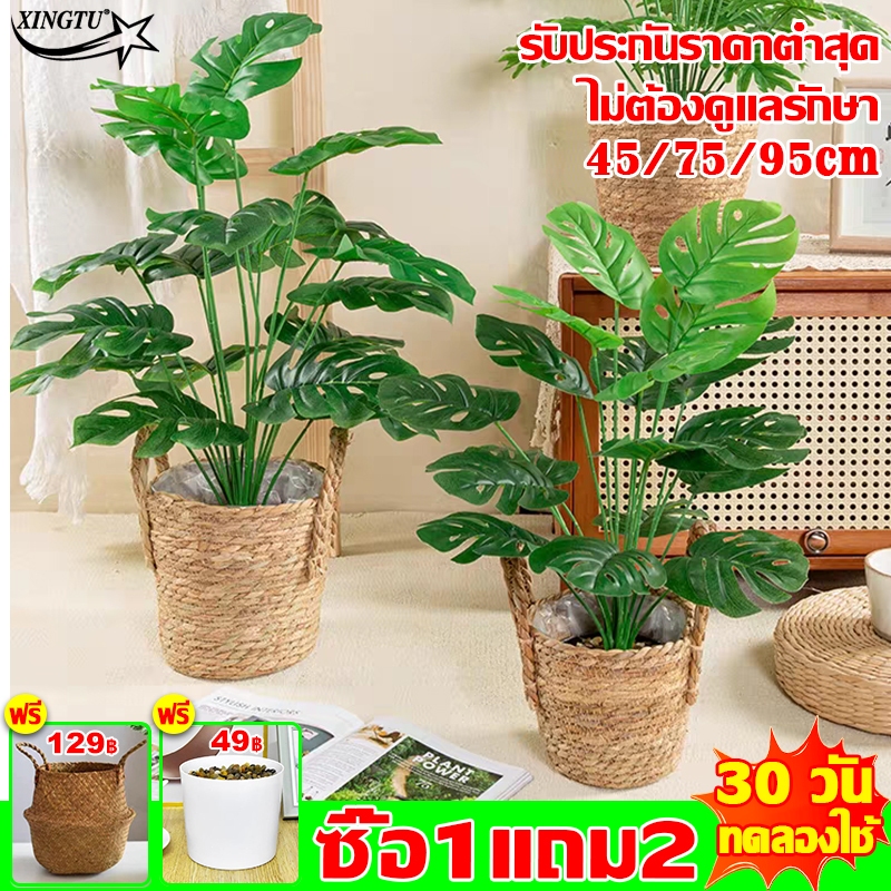 ซื้อ1แถม2กระถาง มอนเสตอร่า ต้นไม้ปลอม ต้นไม้พลาสติก ความจำลอง 99.9% ต้นไม้ปลอม ไม้มงคล95cm/24ใบ ตกแต่งบ้าน ต้นไม้มงคล