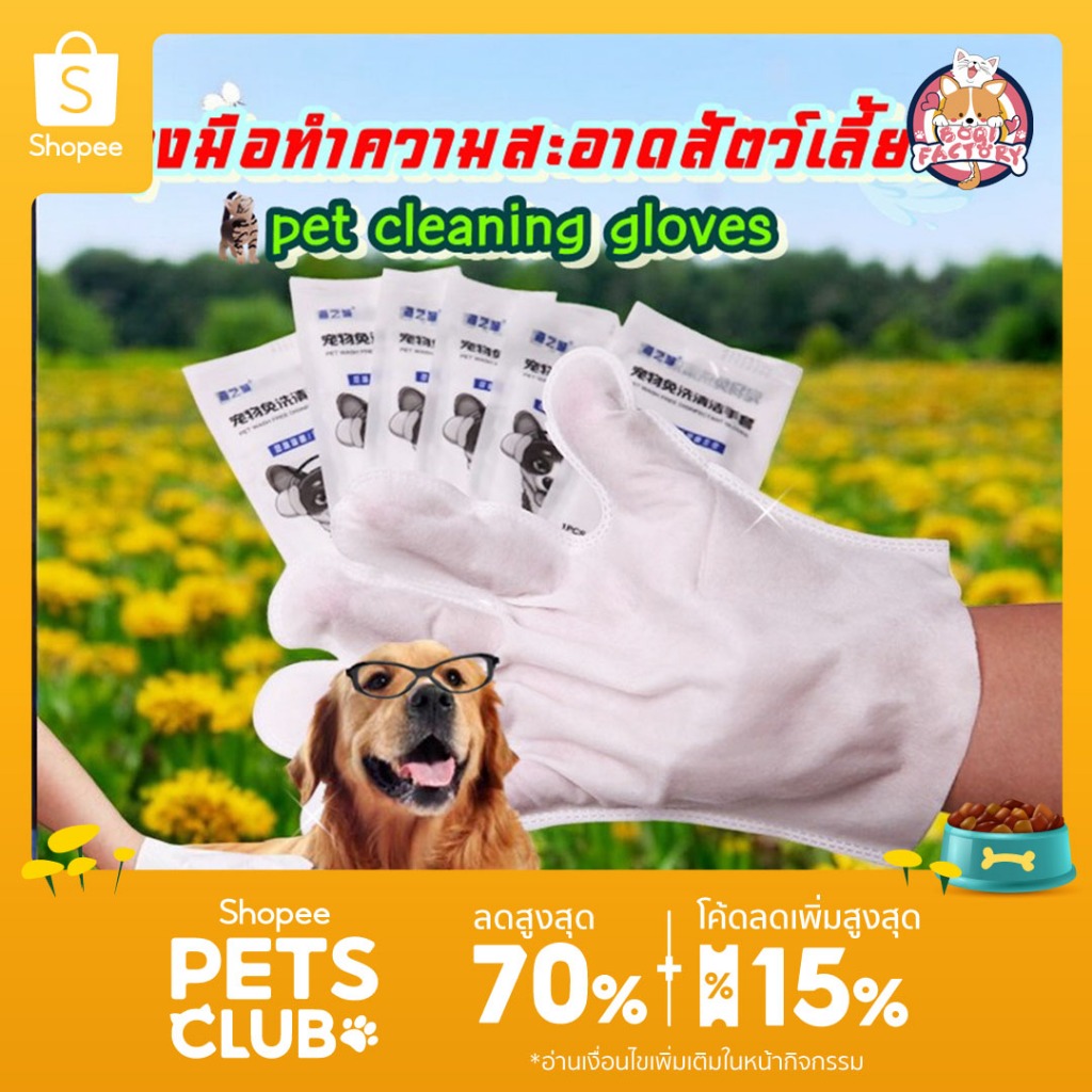 Boqi Factory ถุงมือแบบไม่ต้องซัก ทำความสะอาดสัตว์ แบบใช้แล้วทิ้ง  Clean Glove