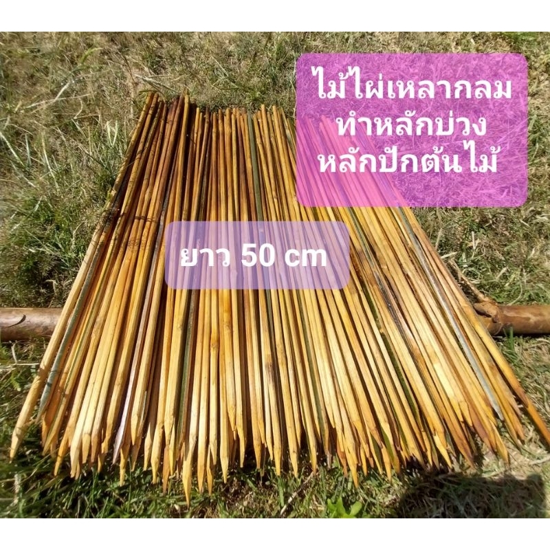 ไม้หลักบ่วงหนูนา ไม้ไผ่เหลากลม ไม้หลักค่ำยันปลูกต้นไม้ รมควันกันมอด แข็งแรงมาก ยาว 50cm