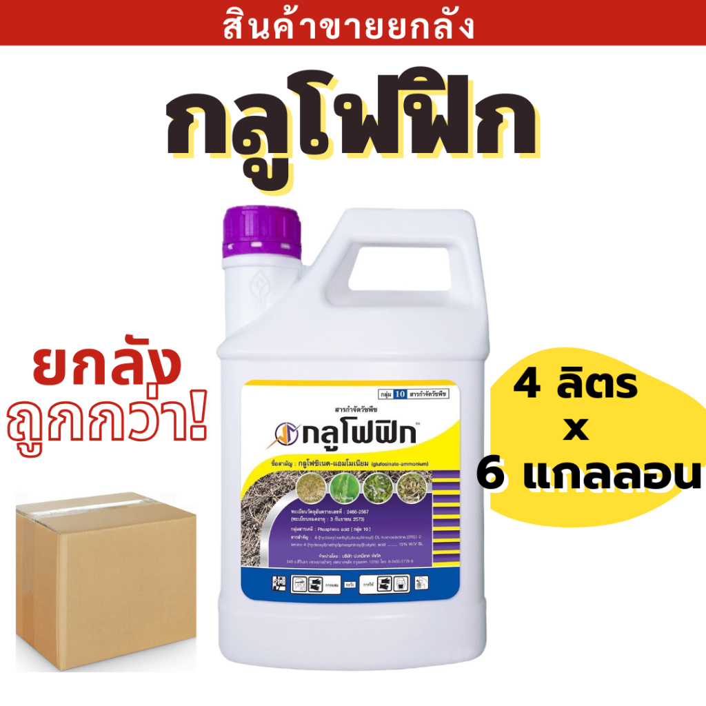 ยกลัง กลูโฟฟิก ( กลูโฟซิเนต - แอมโมเนียม ) 4 x 6 แกลลอน