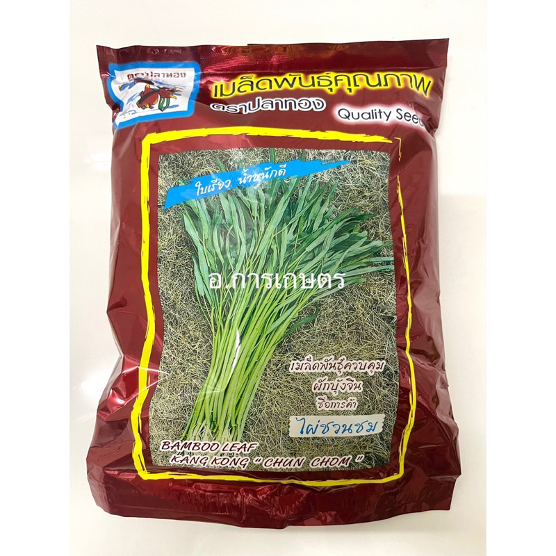 เก็บโค้ตส่งฟรีลดสูงสุด 300 ผักบุ้งตราปลาทอง ผักบุ้งจีน ขนาด 1กก. พันธุ์ไผ่ชวนชม ใบไผ่ ใบเรียว เมล็ดผัก ผักบุ้ง