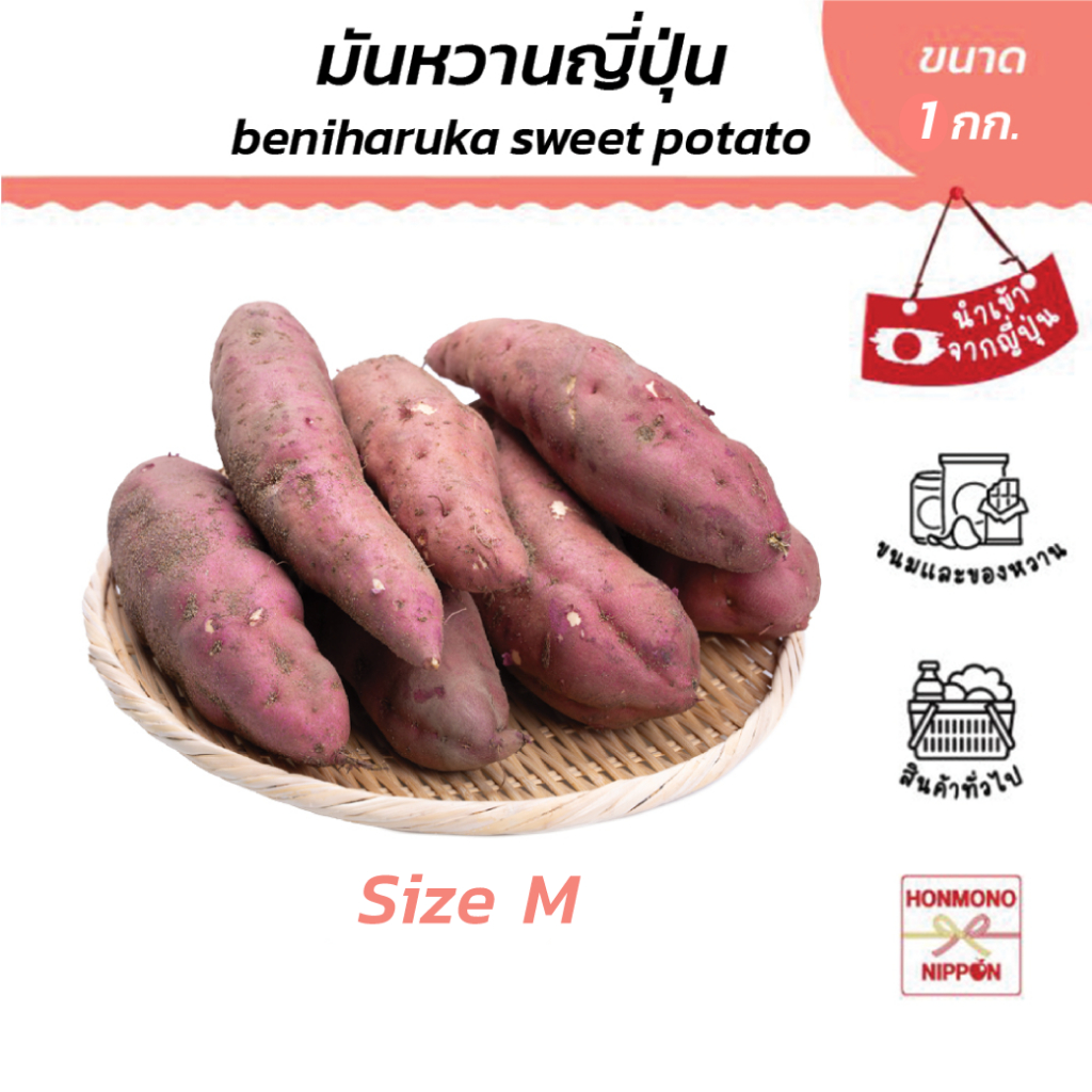 มันหวานญี่ปุ่น เบนิฮารุกะ ไซส์ M ขนาด 1 กก. (สินค้านำเข้าจากญี่ปุ่น) - Sweet Potato Benni-Haruka M Size