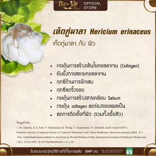 [💥ขายดี💥📌] เฮริชิ (Herichi) เครื่องดื่มน้ำ เห็ดภู่มาลา ผสม พลูคาว และ มะขามป้อม