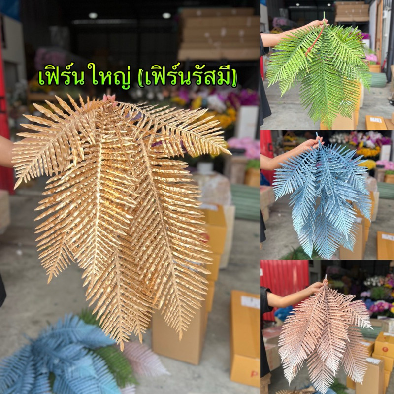 เฟิร์นใหญ่ (เฟิร์นรัสมี)