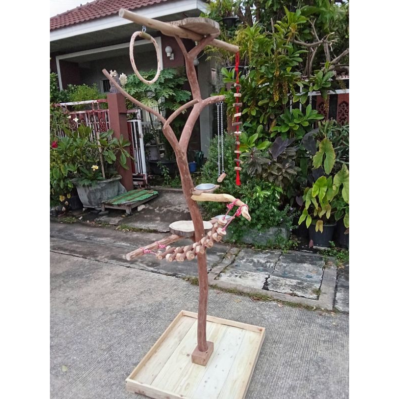 คอนนกสำหรับนกเกาะเล่น สำหรับนกตัวเล็กตัวใหญ่ความสูง 150 cm กิ่งไม้แต่ละจริงจะไม่เหมือนกัน