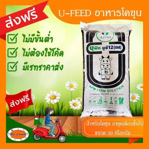 อาหารโคขุน U-FEED UC12S สำหรับโคขุนอายุ 6 เดือนขึ้นไป ขนาด 30 กก. พร้อมส่ง [ส่งฟรีไม่ต้องใช้โค้ด!!]