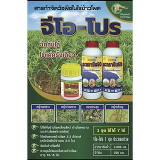 🌹👉จีโปร2พลัง+ : ยาคุม-ฆ่า กำจัดวัชพืในข้าวโพดและอ้อย🌽(สินค้าขายดี)